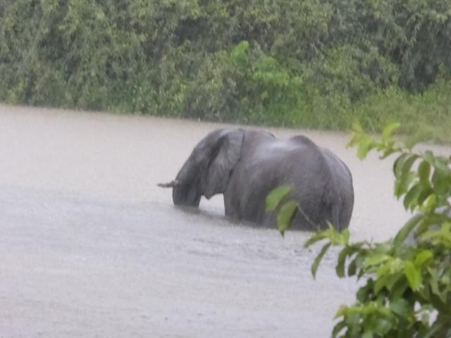 ../photos/Botswana/Jane/P1030798.jpg?t=1775419124