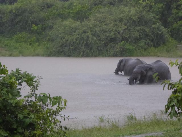 ../photos/Botswana/Jane/P1030799.jpg?t=1775419124