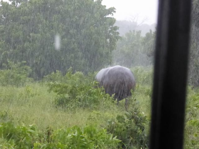 ../photos/Botswana/Jane/P1030811.jpg?t=1775419124