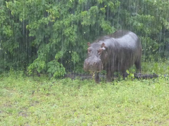 ../photos/Botswana/Jane/P1030814.jpg?t=1775419124
