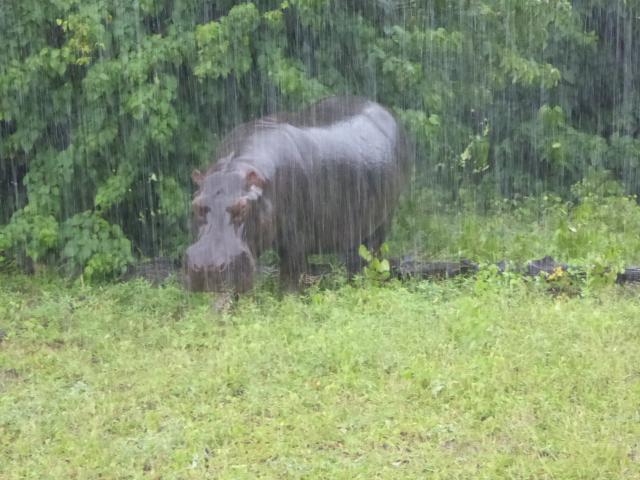 ../photos/Botswana/Jane/P1030816.jpg?t=1775419124