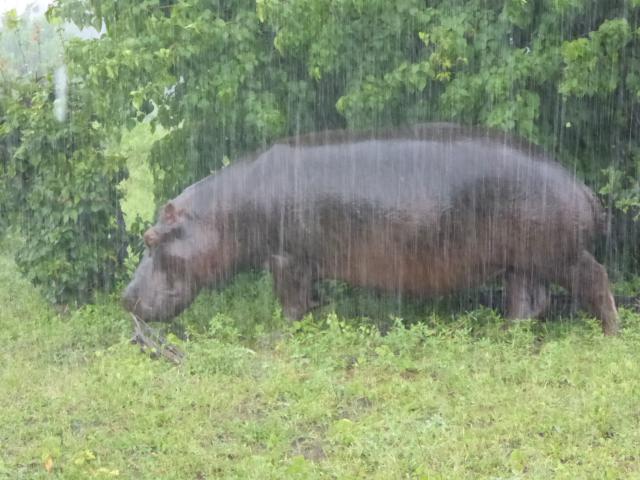 ../photos/Botswana/Jane/P1030817.jpg?t=1775419124