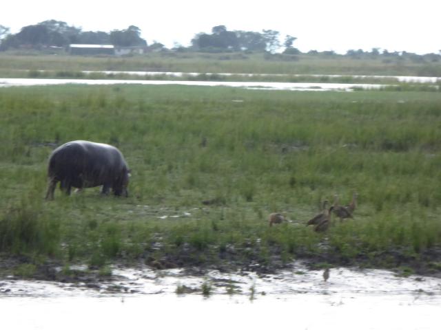 ../photos/Botswana/Jane/P1030825.jpg?t=1775419124