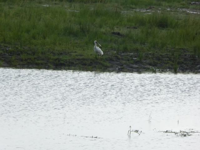 ../photos/Botswana/Jane/P1030827.jpg?t=1775419124
