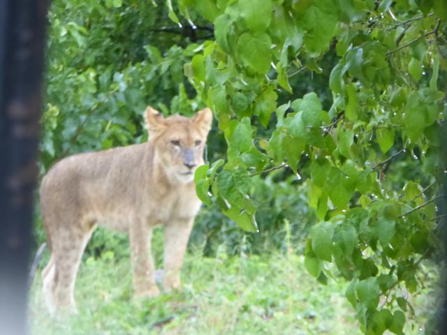 ../photos/Botswana/Jane/P1030830.jpg?t=1775419124