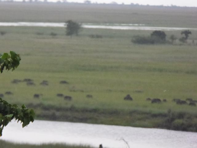 ../photos/Botswana/Jane/P1030849.jpg?t=1775419124