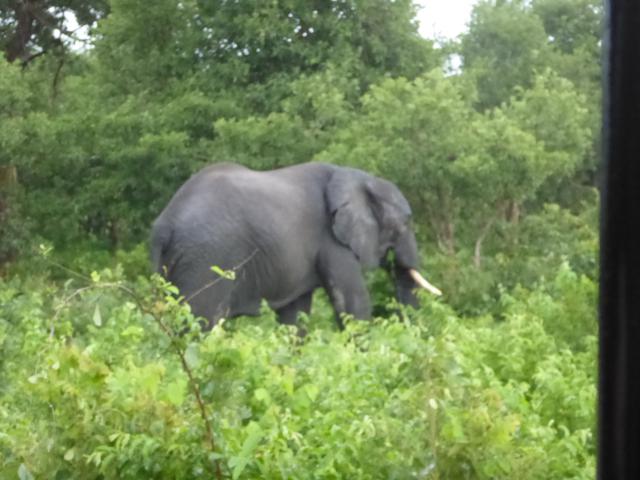 ../photos/Botswana/Jane/P1030850.jpg?t=1775419124
