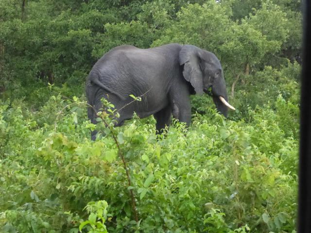 ../photos/Botswana/Jane/P1030851.jpg?t=1775419124