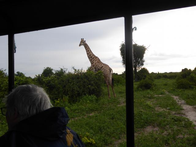 ../photos/Botswana/Jane/P1030859.jpg?t=1775419124