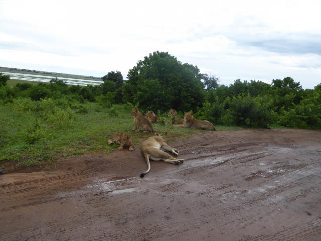 ../photos/Botswana/Jane/P1030875.jpg?t=1775419124