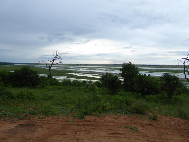 ../photos/Botswana/Jane/P1030887.jpg?t=1775419124