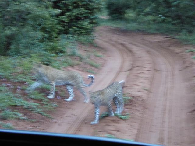 http://www.gandjlawrence.co.uk/photos/Botswana/Jane/P1030903.jpg