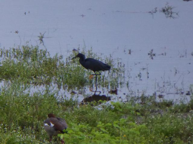 ../photos/Botswana/Jane/P1030932.jpg?t=1775280941