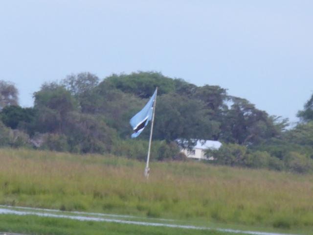 Botswana/Jane/P1030938.jpg