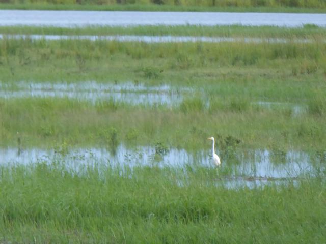../photos/Botswana/Jane/P1030947.jpg?t=1775280941