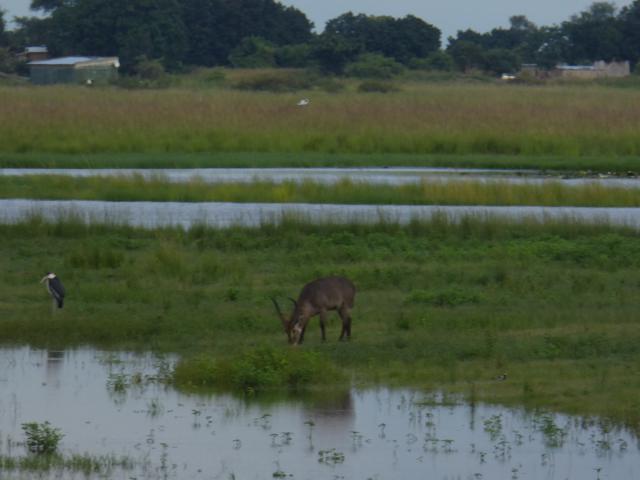 ../photos/Botswana/Jane/P1030952.jpg?t=1775280941