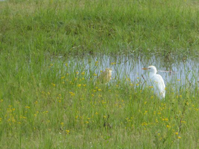 ../photos/Botswana/Jane/P1030968.jpg?t=1775280941