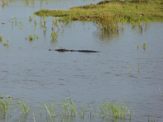 ../photos/Botswana/Jane/P1030974.jpg?t=1775280941