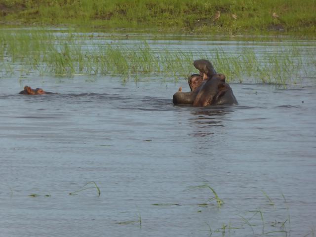 ../photos/Botswana/Jane/P1030982.jpg?t=1775280941