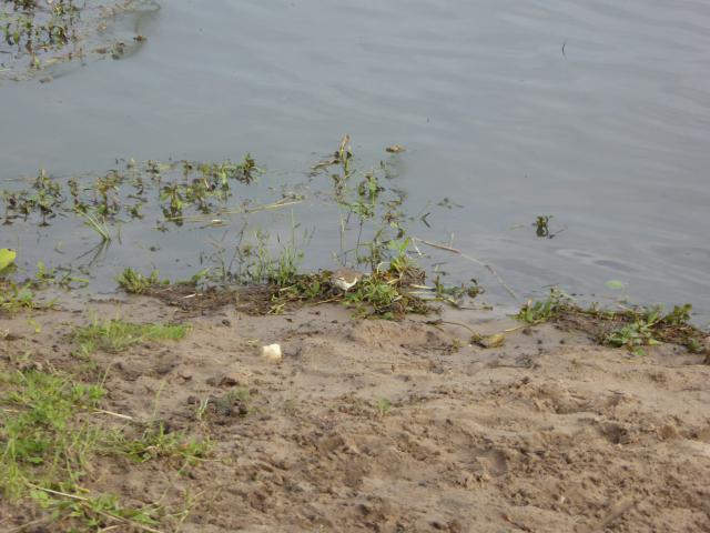 ../photos/Botswana/Jane/P1030989.jpg?t=1775280941