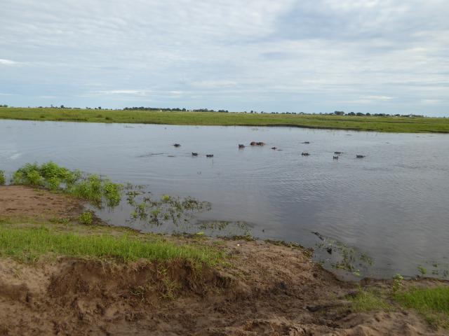 ../photos/Botswana/Jane/P1030992.jpg?t=1775280941