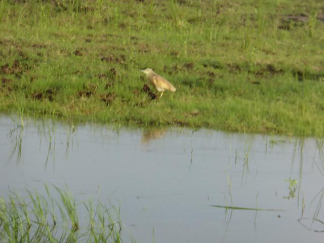 ../photos/Botswana/Jane/P1040003.jpg?t=1775280941