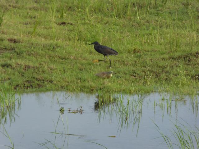 ../photos/Botswana/Jane/P1040004.jpg?t=1775280941