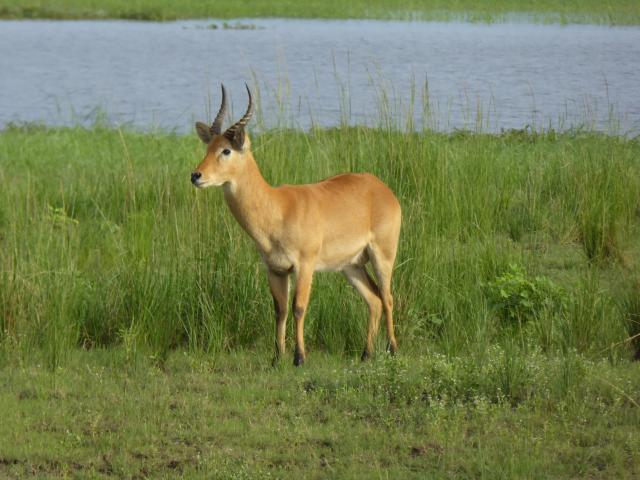 ../photos/Botswana/Jane/P1040008.jpg?t=1775280941