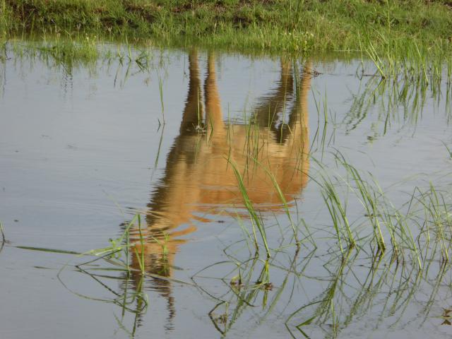 ../photos/Botswana/Jane/P1040018.jpg?t=1775280941