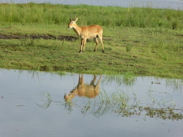 ../photos/Botswana/Jane/P1040019.jpg?t=1775280941