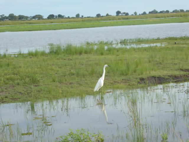 ../photos/Botswana/Jane/P1040035.jpg?t=1775280941