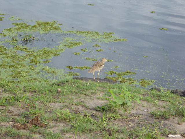 ../photos/Botswana/Jane/P1040037.jpg?t=1775280941