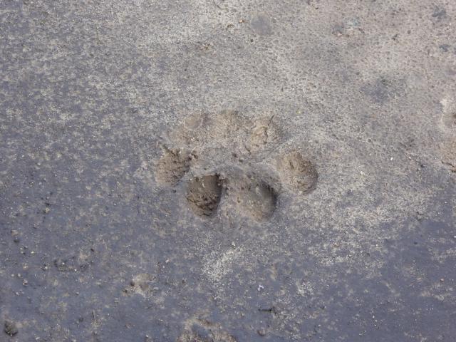 ../photos/Botswana/Jane/P1040056.jpg?t=1775280941