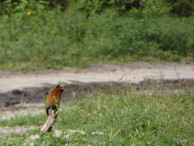 ../photos/Botswana/Jane/P1040063.jpg?t=1775280941