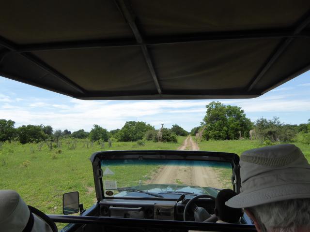 ../photos/Botswana/Jane/P1040143.jpg?t=1775280941