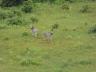 ../photos/Botswana/Jane/P1040214_1.jpg?t=1775325217