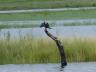 ../photos/Botswana/Jane/P1040219_1.jpg?t=1775325217