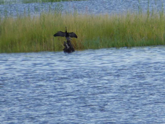 ../photos/Botswana/Jane/P1040220.jpg?t=1775325217
