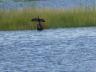 ../photos/Botswana/Jane/P1040220_1.jpg?t=1775325217