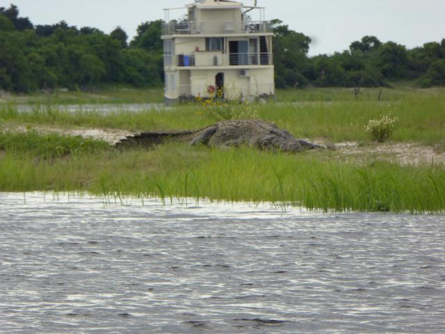 ../photos/Botswana/Jane/P1040240.jpg?t=1775325217