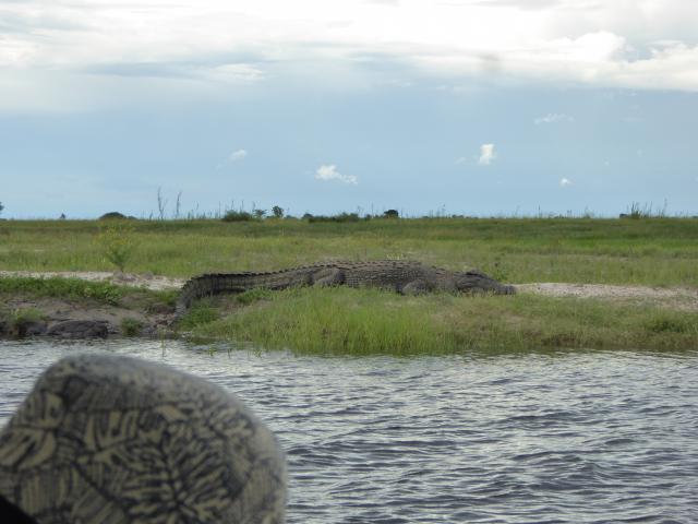 ../photos/Botswana/Jane/P1040242.jpg?t=1775325217