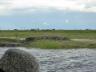../photos/Botswana/Jane/P1040242_1.jpg?t=1775325217