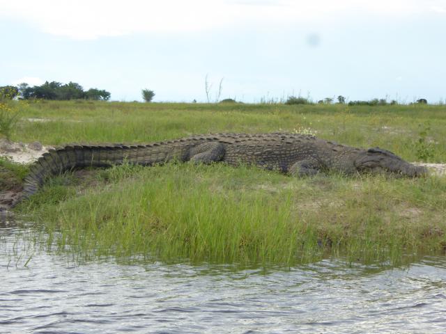 ../photos/Botswana/Jane/P1040247.jpg?t=1775325217