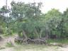 ../photos/Botswana/Jane/P1040260_1.jpg?t=1775325217