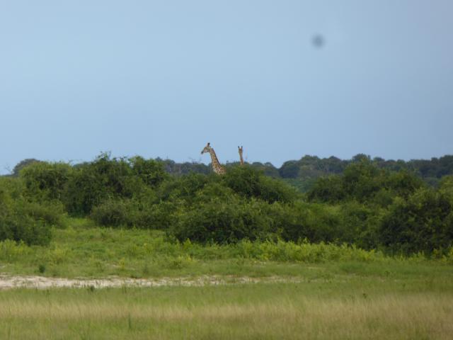 ../photos/Botswana/Jane/P1040290.jpg?t=1775325217