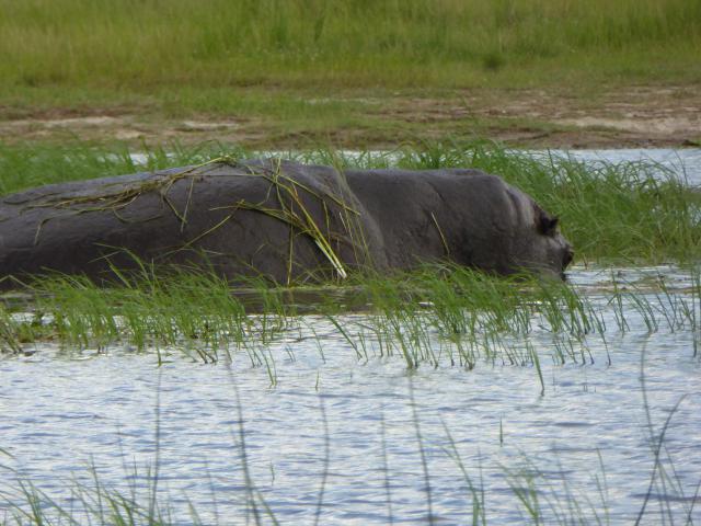 ../photos/Botswana/Jane/P1040293.jpg?t=1775325217