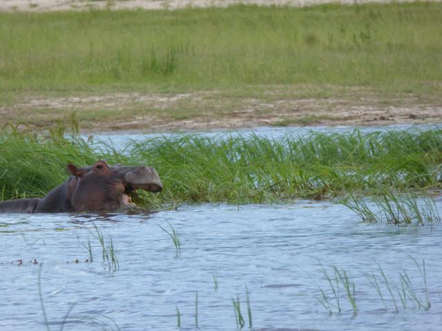 ../photos/Botswana/Jane/P1040302.jpg?t=1775325217
