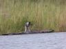 ../photos/Botswana/Jane/P1040310_1.jpg?t=1775325217