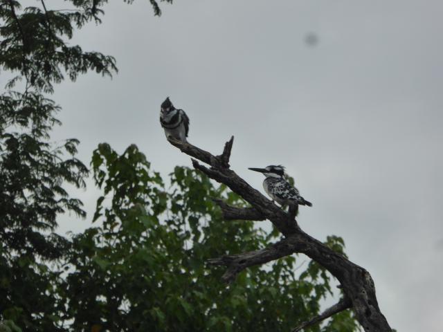 ../photos/Botswana/Jane/P1040330.jpg?t=1775422308