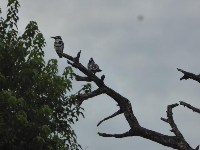 ../photos/Botswana/Jane/P1040334.jpg?t=1775422308